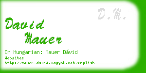 david mauer business card